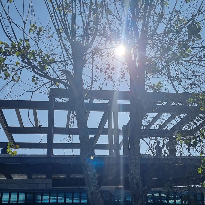 Estructura Metálica Vivienda A